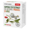 CAPSULE CU USTUROI, PĂDUCEL ȘI VÂSC - PARAPHARM