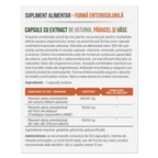 CAPSULE CU USTUROI, PĂDUCEL ȘI VÂSC, 30 capsule